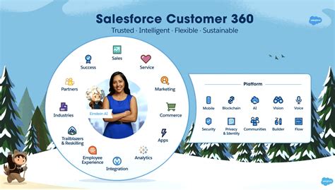 Salesforce: The Customer Company .